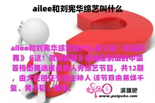 ailee和刘宪华综艺叫什么