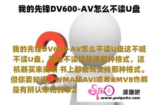 我的先锋DV600-AV怎么不读U盘