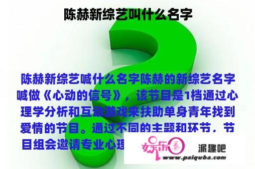 陈赫新综艺叫什么名字