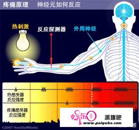 你难以忘记的疼痛是什么“痛”