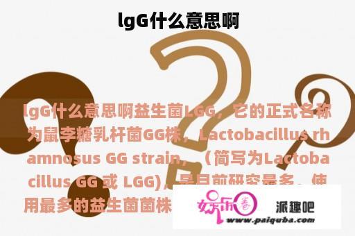 lgG什么意思啊