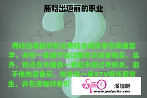 鹿晗出道前的职业