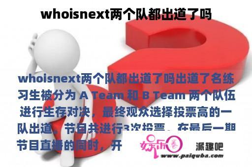 whoisnext两个队都出道了吗