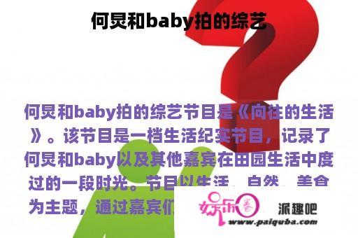 何炅和baby拍的综艺