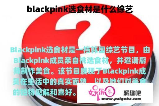 blackpink选食材是什么综艺