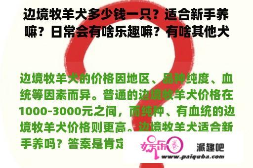 边境牧羊犬多少钱一只？适合新手养嘛？日常会有啥乐趣嘛？有啥其他犬种推荐嘛