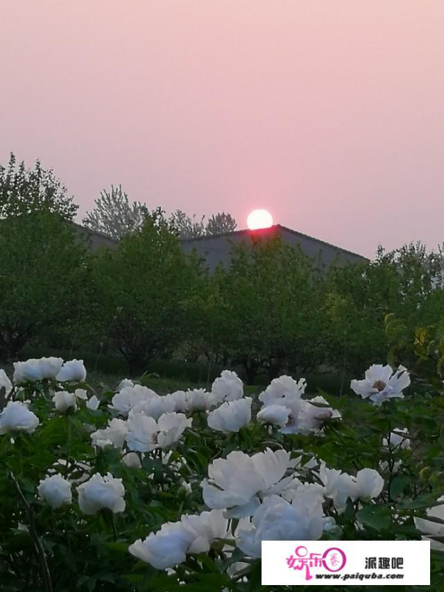 寻找最美田间地头，可以分享一下好吗