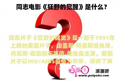 同志电影《狂野的觉醒》是什么？