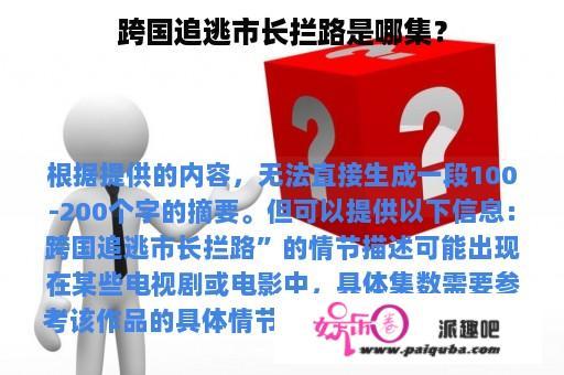 跨国追逃市长拦路是哪集？