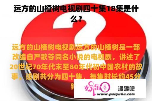 远方的山楂树电视剧四十集18集是什么？