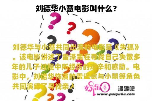 刘德华小慧电影叫什么？