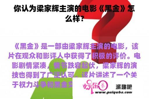 你认为梁家辉主演的电影《黑金》怎么样？