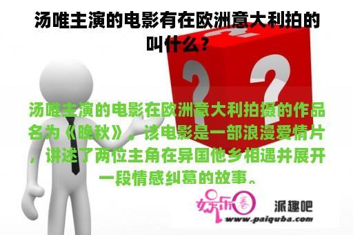 汤唯主演的电影有在欧洲意大利拍的叫什么？