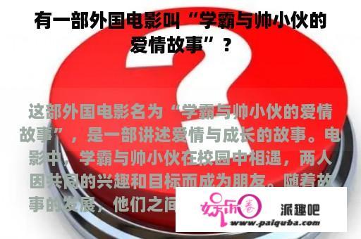 有一部外国电影叫“学霸与帅小伙的爱情故事”？