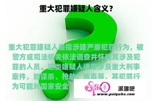 重大犯罪嫌疑人含义？