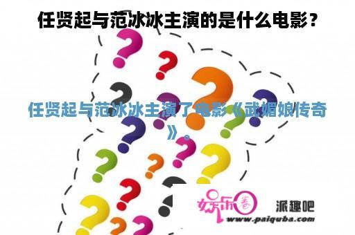 任贤起与范冰冰主演的是什么电影？