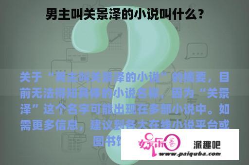 男主叫关景泽的小说叫什么？