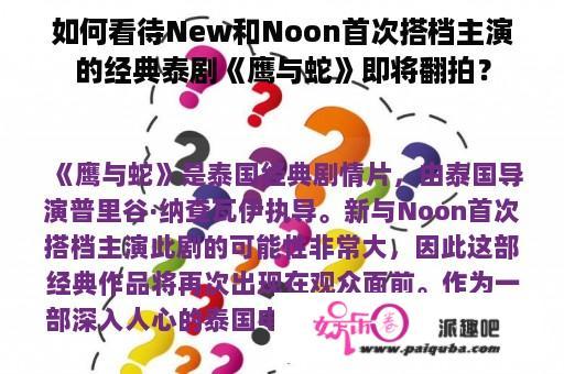 如何看待New和Noon首次搭档主演的经典泰剧《鹰与蛇》即将翻拍？