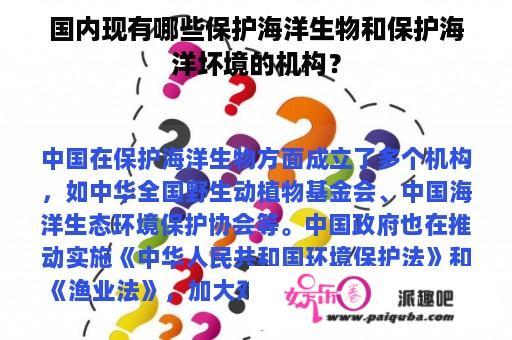 国内现有哪些保护海洋生物和保护海洋坏境的机构？