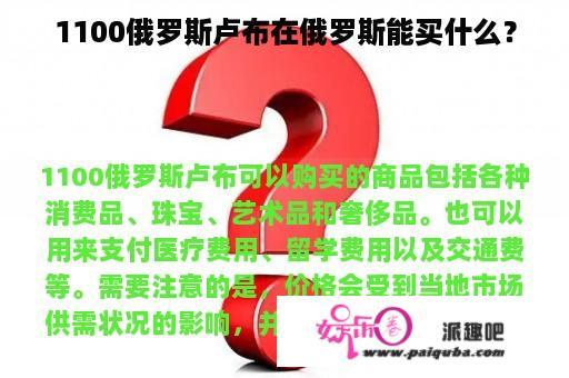 1100俄罗斯卢布在俄罗斯能买什么？