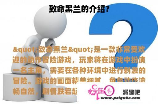 致命黑兰的介绍？