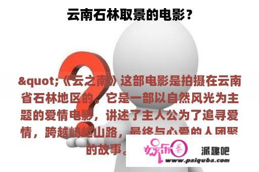 云南石林取景的电影？