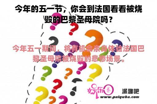 今年的五一节，你会到法国看看被烧毁的巴黎圣母院吗？