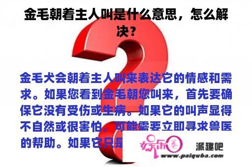 金毛朝着主人叫是什么意思，怎么解决？