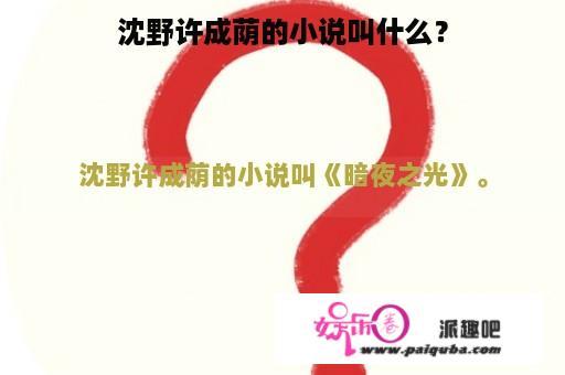 沈野许成荫的小说叫什么？