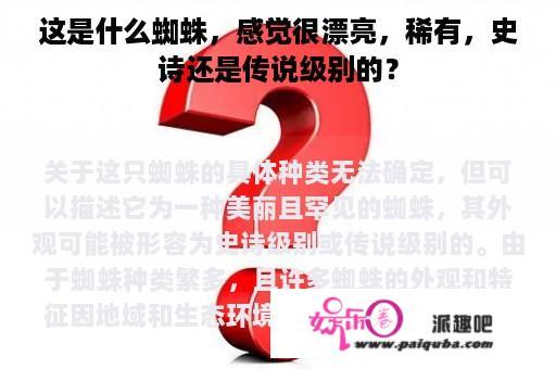 这是什么蜘蛛，感觉很漂亮，稀有，史诗还是传说级别的？