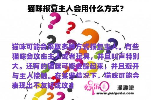 猫咪报复主人会用什么方式？