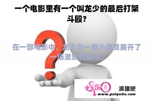 一个电影里有一个叫龙少的最后打架斗殴？