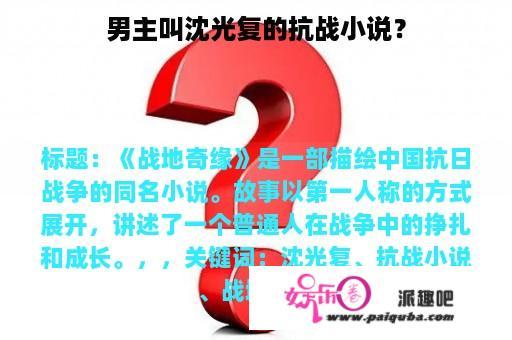 男主叫沈光复的抗战小说？