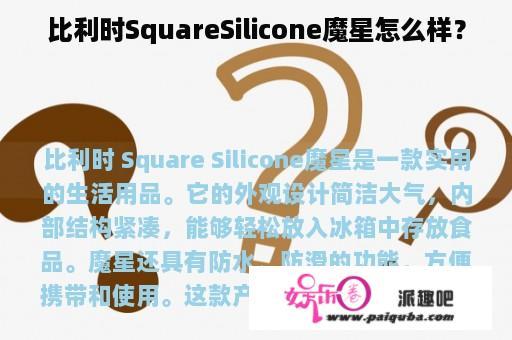 比利时SquareSilicone魔星怎么样？