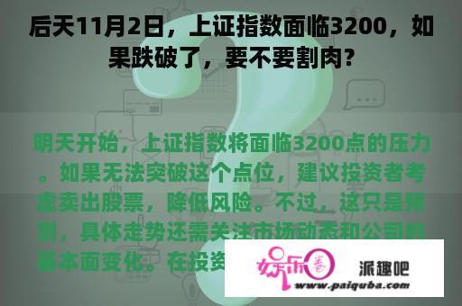 后天11月2日，上证指数面临3200，如果跌破了，要不要割肉？