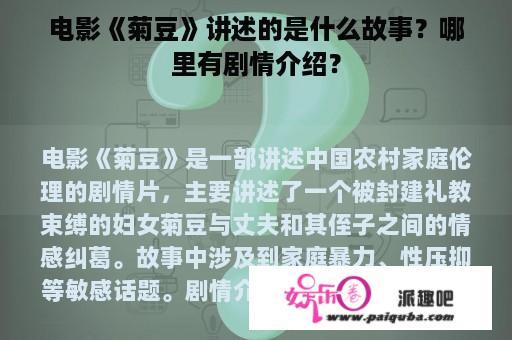 电影《菊豆》讲述的是什么故事？哪里有剧情介绍？