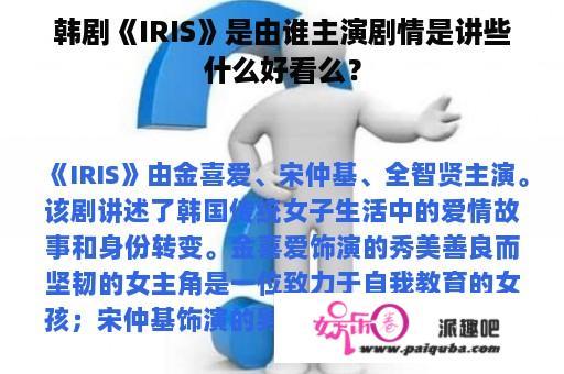 韩剧《IRIS》是由谁主演剧情是讲些什么好看么？