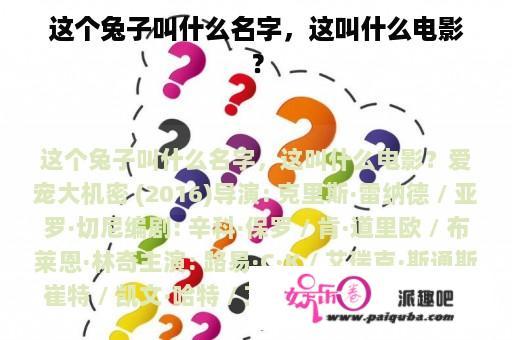 这个兔子叫什么名字，这叫什么电影？