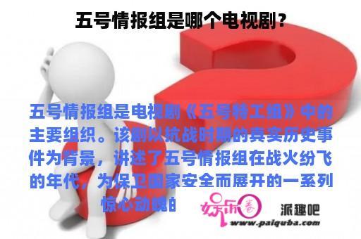 五号情报组是哪个电视剧？