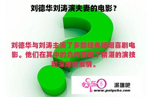 刘德华刘涛演夫妻的电影？