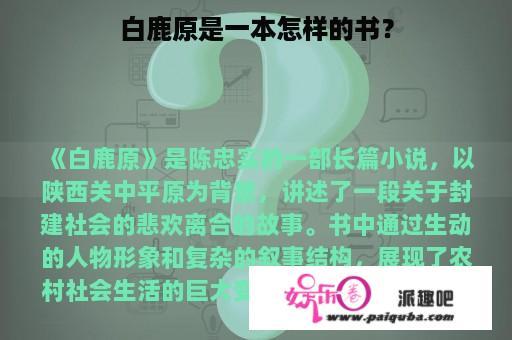 白鹿原是一本怎样的书？