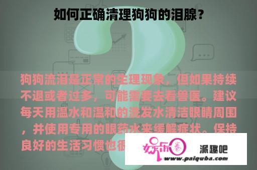 如何正确清理狗狗的泪腺？