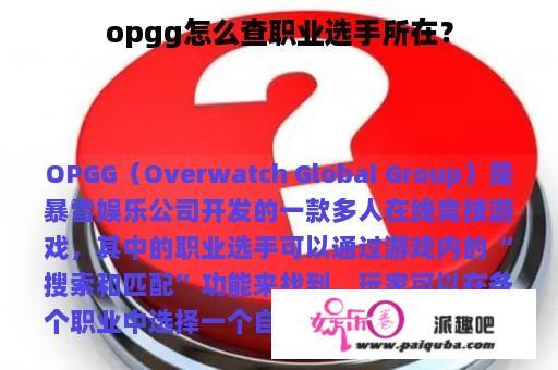 opgg怎么查职业选手所在？