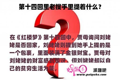 第十四回里老搜手里提着什么？