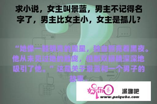 求小说，女主叫景蓝，男主不记得名字了，男主比女主小，女主是孤儿？