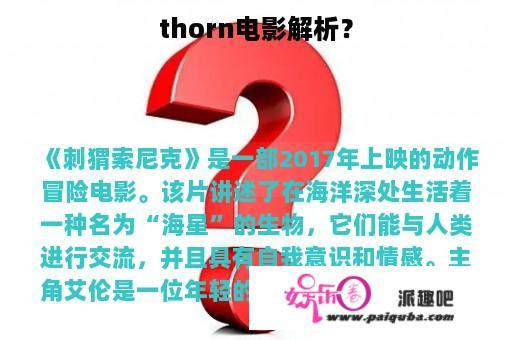 thorn电影解析？