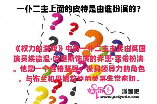 一仆二主上面的皮特是由谁扮演的？