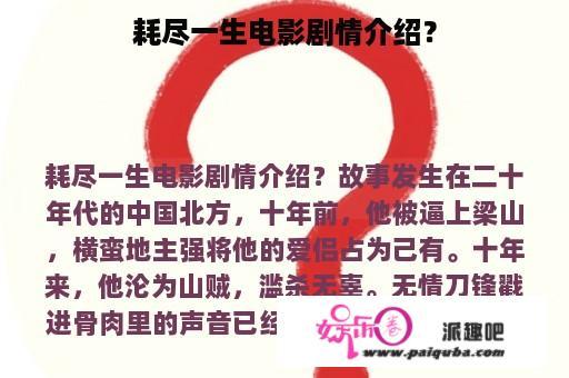 耗尽一生电影剧情介绍？