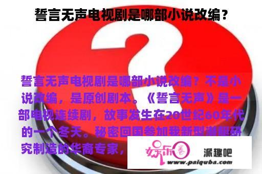 誓言无声电视剧是哪部小说改编？