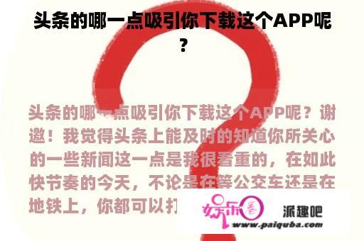 头条的哪一点吸引你下载这个APP呢？